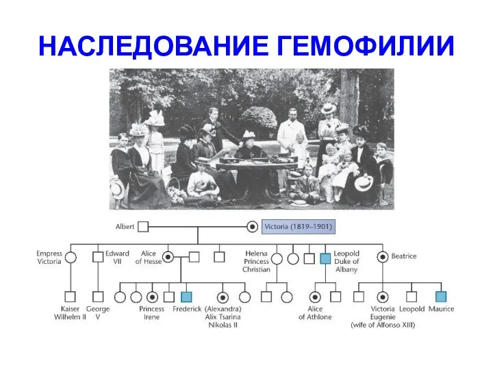 НАСЛЕДОВАНИЕ ГЕМОФИЛИИ