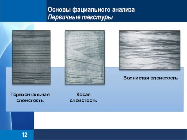 Основы фациального анализа Первичные текстуры Горизонтальная слоистость Косая слоистость Волнистая слоистость