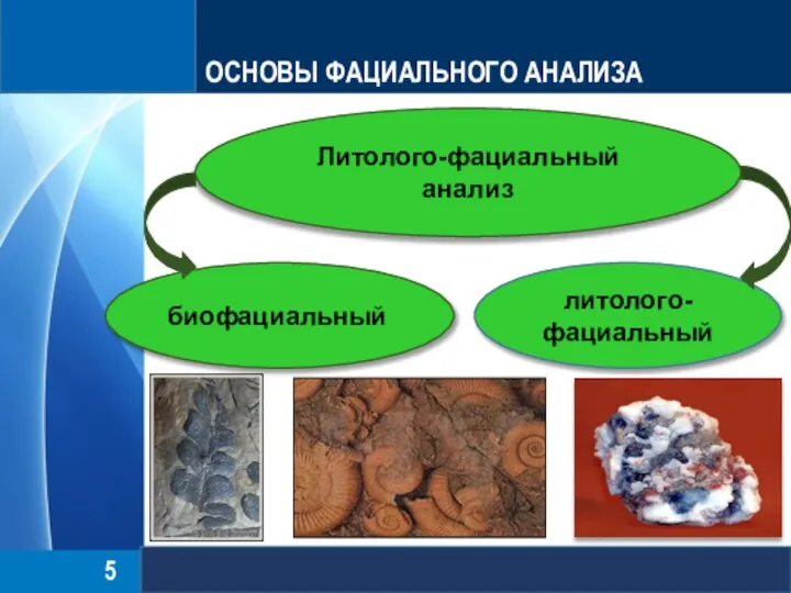 ОСНОВЫ ФАЦИАЛЬНОГО АНАЛИЗА Литолого-фациальный анализ биофациальный литолого-фациальный