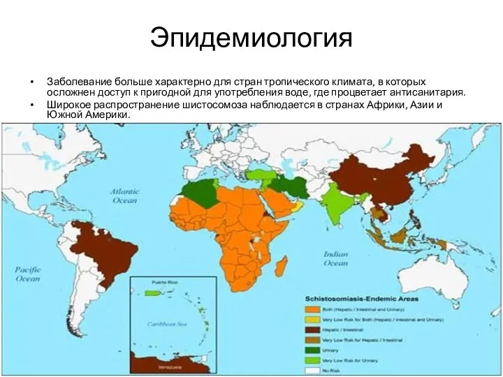 Эпидемиология Заболевание больше характерно для стран тропического климата, в которых осложнен доступ