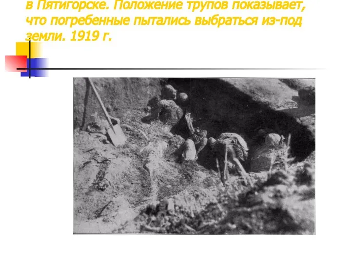 Заживо похороненные большевиками офицеры в Пятигорске. Положение трупов показывает, что погребенные пытались
