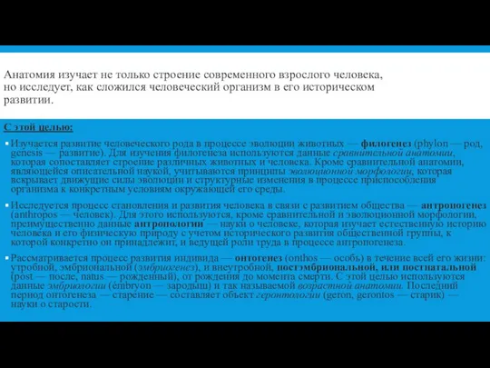 Анатомия изучает не только строение современного взрослого человека, но исследует, как сложился