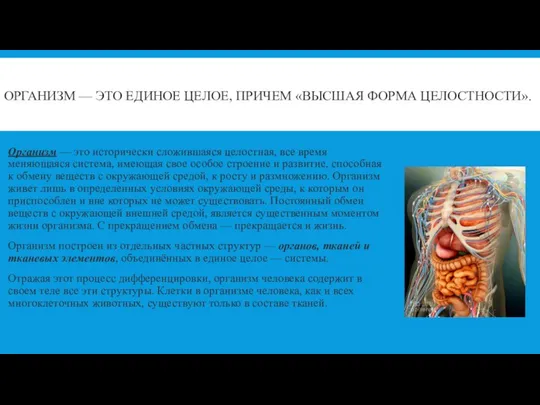 ОРГАНИЗМ — ЭТО ЕДИНОЕ ЦЕЛОЕ, ПРИЧЕМ «ВЫСШАЯ ФОРМА ЦЕЛОСТНОСТИ». Организм — это