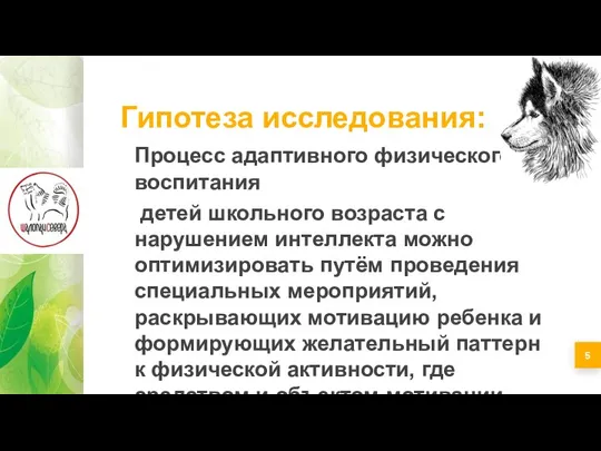 Гипотеза исследования: Процесс адаптивного физического воспитания детей школьного возраста с нарушением интеллекта