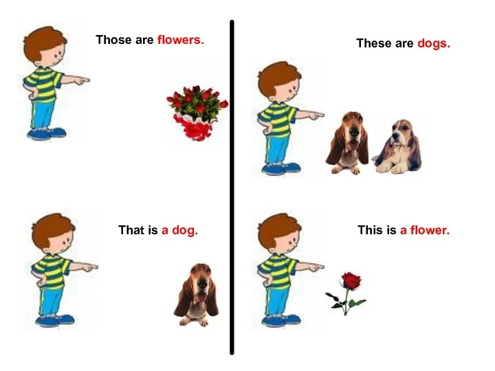 Those are flowers. That is a dog. These are dogs. This is a flower.