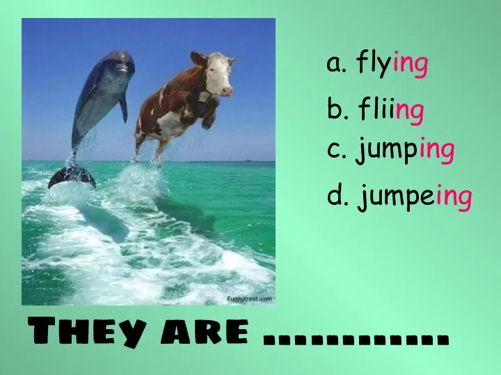 They are ………… a. flying b. fliing c. jumping d. jumpeing