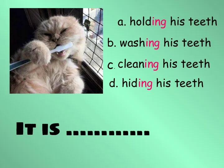It is ………… a. holding his teeth b. washing his teeth cleaning