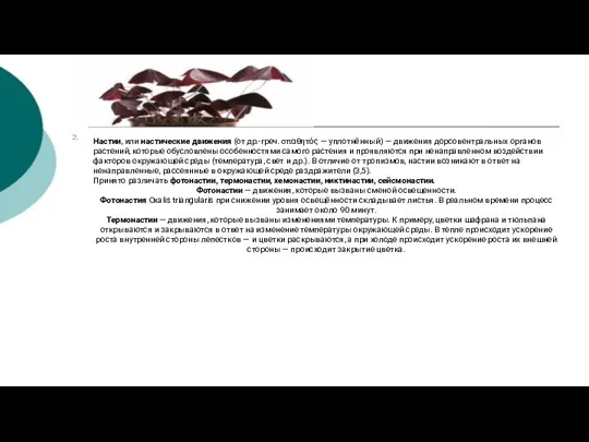 Настии, или настические движения (от др.-греч. σπαθητός — уплотнённый) — движения дорсовентральных