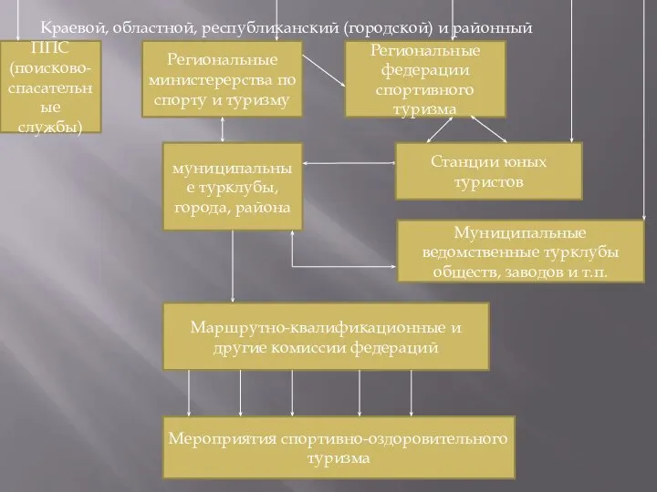 Краевой, областной, республиканский (городской) и районный уровень ППС (поисково-спасательные службы) Региональные министерерства