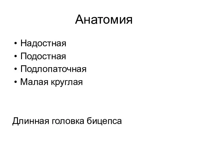 Анатомия Надостная Подостная Подлопаточная Малая круглая Длинная головка бицепса