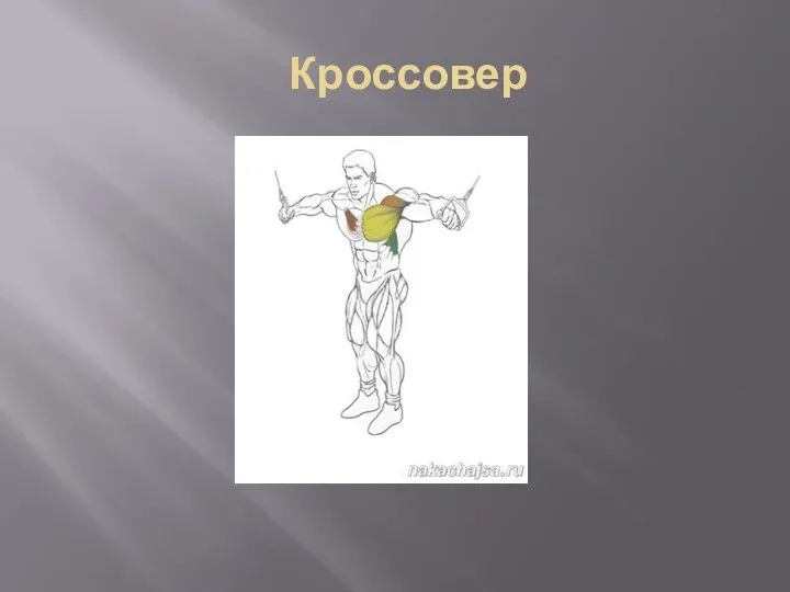 Кроссовер