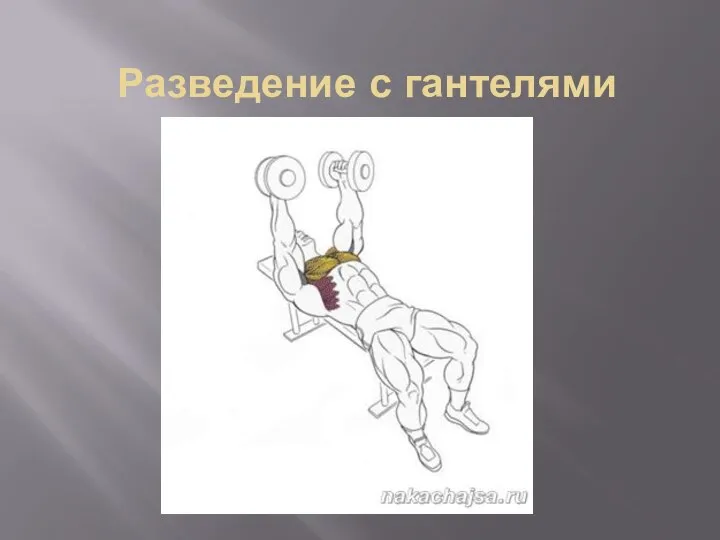 Разведение с гантелями