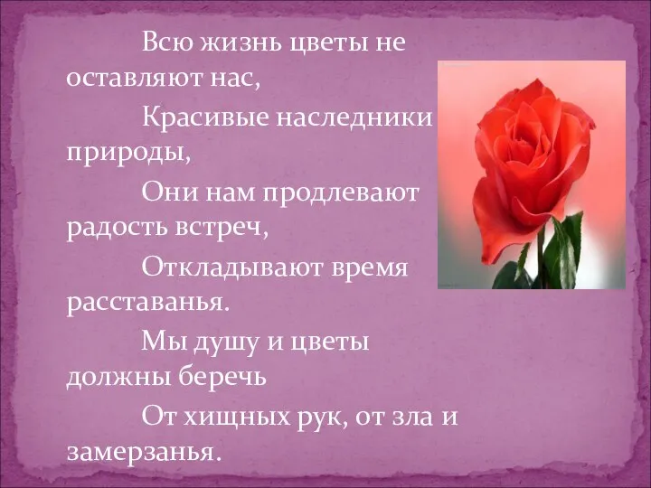 Всю жизнь цветы не оставляют нас, Красивые наследники природы, Они нам продлевают