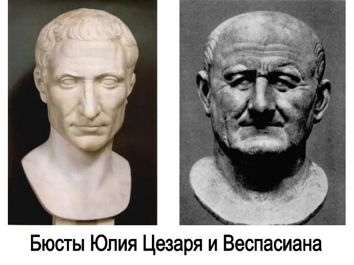 Бюсты Юлия Цезаря и Веспасиана