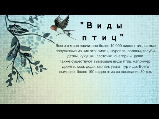 "Виды птиц" Всего в мире насчитано более 10 000 видов птиц, самые