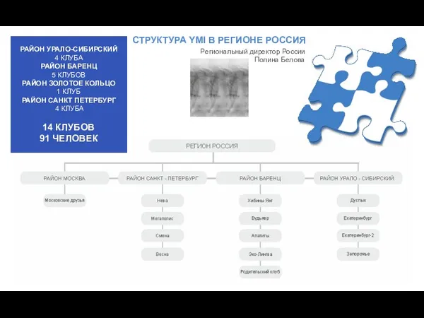 СТРУКТУРА YMI В РЕГИОНЕ РОССИЯ Региональный директор России Полина Белова РАЙОН УРАЛО-СИБИРСКИЙ