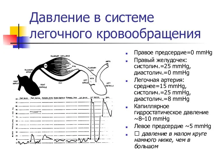 Давление в системе легочного кровообращения Правое предсердие=0 mmHg Правый желудочек: систолич.=25 mmHg,