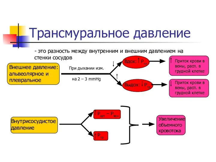 Трансмуральное давление - это разность между внутренним и внешним давлением на стенки