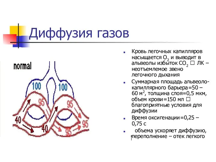 Диффузия газов Кровь легочных капилляров насыщается О2 и выводит в альвеолы избыток