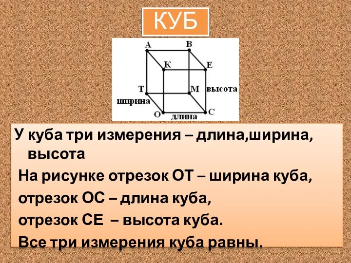 У куба три измерения – длина,ширина,высота На рисунке отрезок ОТ – ширина