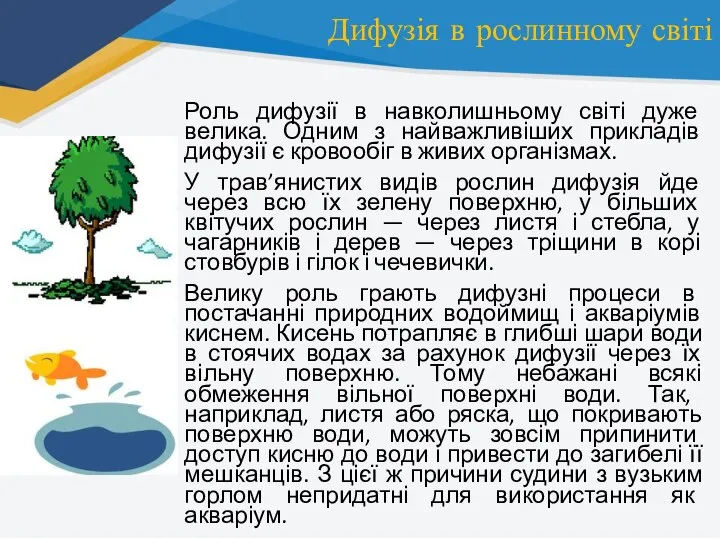 Дифузія в рослинному світі Роль дифузії в навколишньому світі дуже велика. Одним