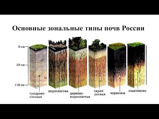 Основные зональные типы почв России