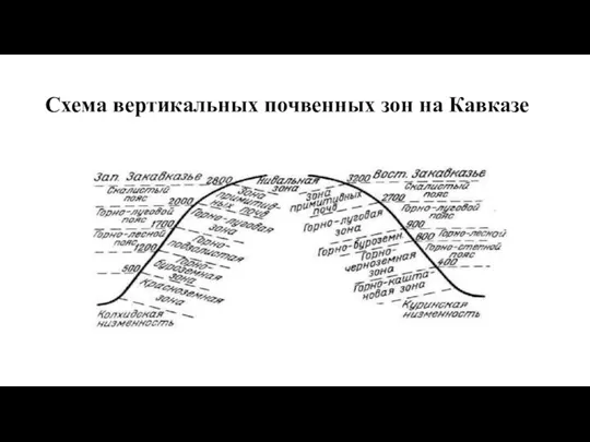 Схема вертикальных почвенных зон на Кавказе