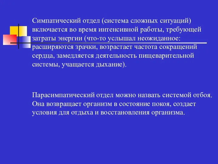 Симпатический отдел (система сложных ситуаций) включается во время интенсивной работы, требующей затраты