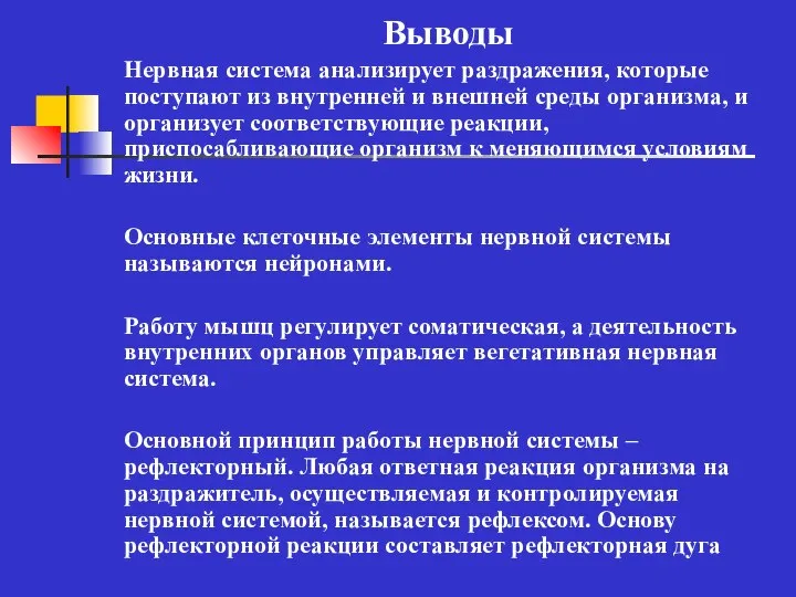 Выводы Нервная система анализирует раздражения, которые поступают из внутренней и внешней среды