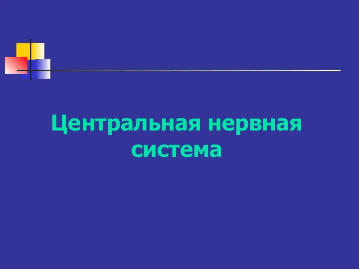 Центральная нервная система