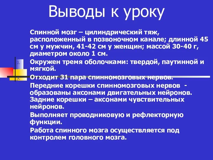 Выводы к уроку Спинной мозг – цилиндрический тяж, расположенный в позвоночном канале;