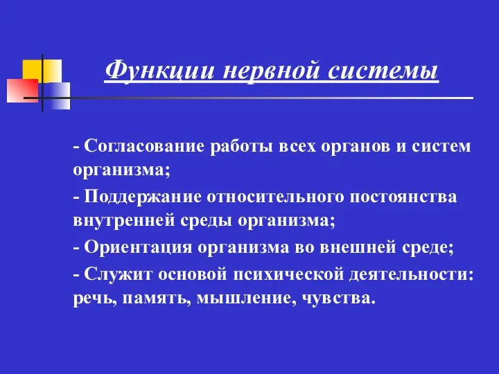 Функции нервной системы - Согласование работы всех органов и систем организма; -