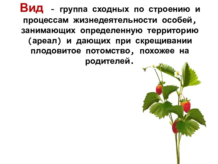 Вид - группа сходных по строению и процессам жизнедеятельности особей, занимающих определенную