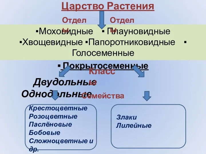 Царство Растения Двудольные Однодольные ▪Моховидные ▪ Плауновидные ▪Хвощевидные ▪Папоротниковидные ▪ Голосеменные ▪