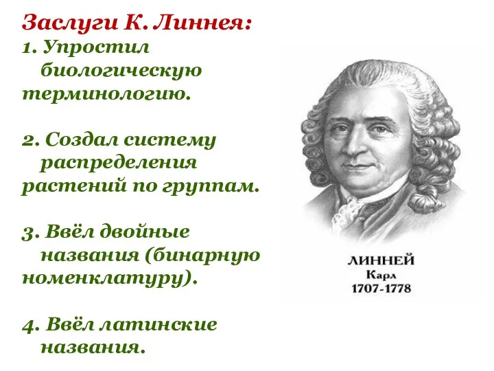 Заслуги К. Линнея: 1. Упростил биологическую терминологию. 2. Создал систему распределения растений