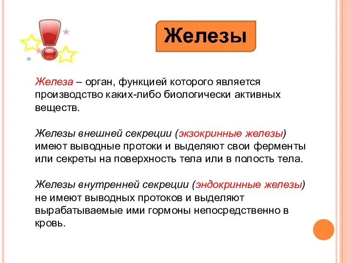 Железа – орган, функцией которого является производство каких-либо биологически активных веществ. Железы