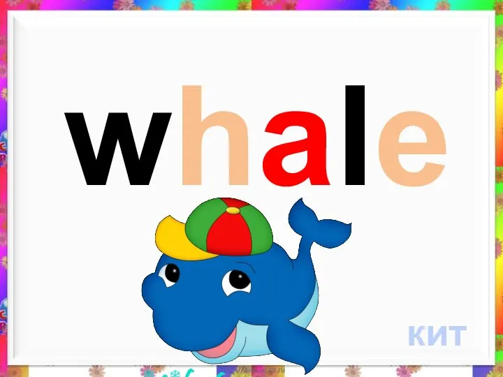 whale кит