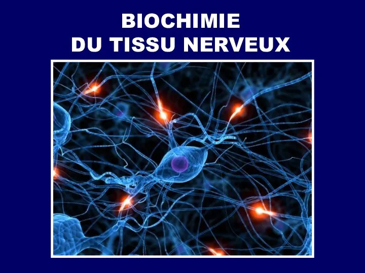 BIOCHIMIE DU TISSU NERVEUX