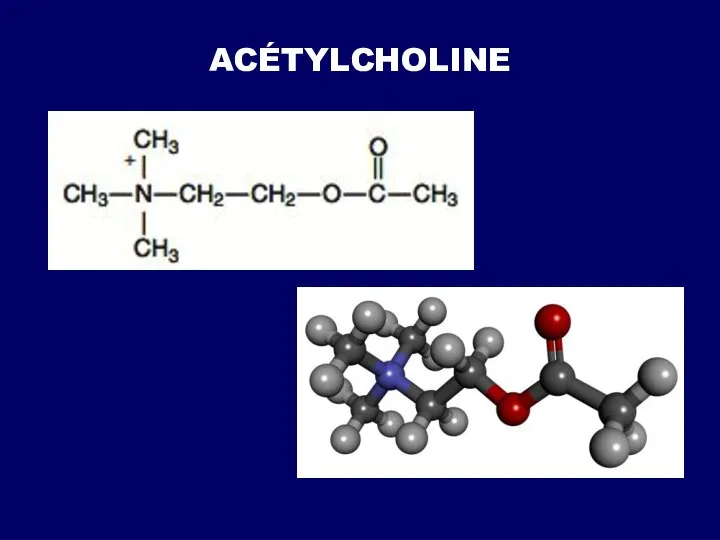 ACÉTYLCHOLINE