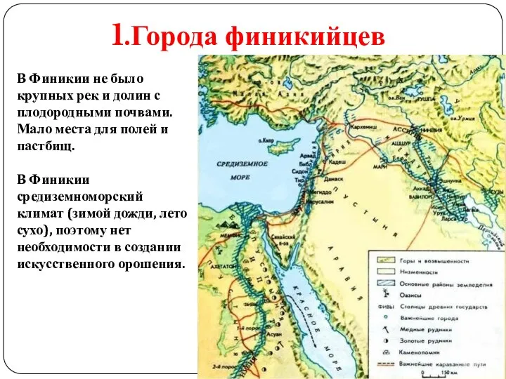 1.Города финикийцев В Финикии не было крупных рек и долин с плодородными