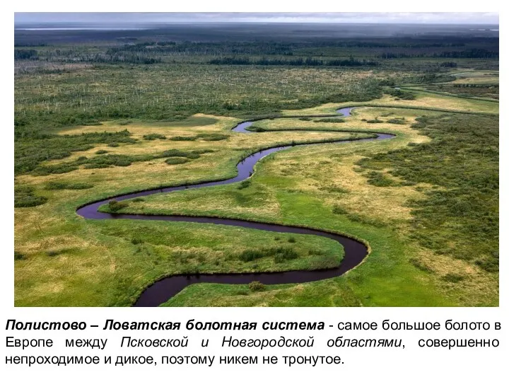 Полистово – Ловатская болотная система - самое большое болото в Европе между
