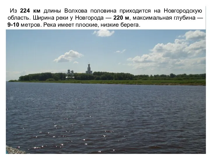 Из 224 км длины Волхова половина приходится на Новгородскую область. Ширина реки