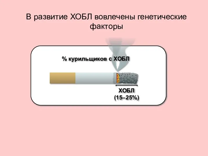 В развитие ХОБЛ вовлечены генетические факторы ХОБЛ (15–25%) % курильщиков с ХОБЛ