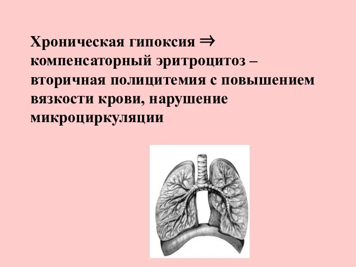 Хроническая гипоксия ⇒ компенсаторный эритроцитоз – вторичная полицитемия с повышением вязкости крови, нарушение микроциркуляции