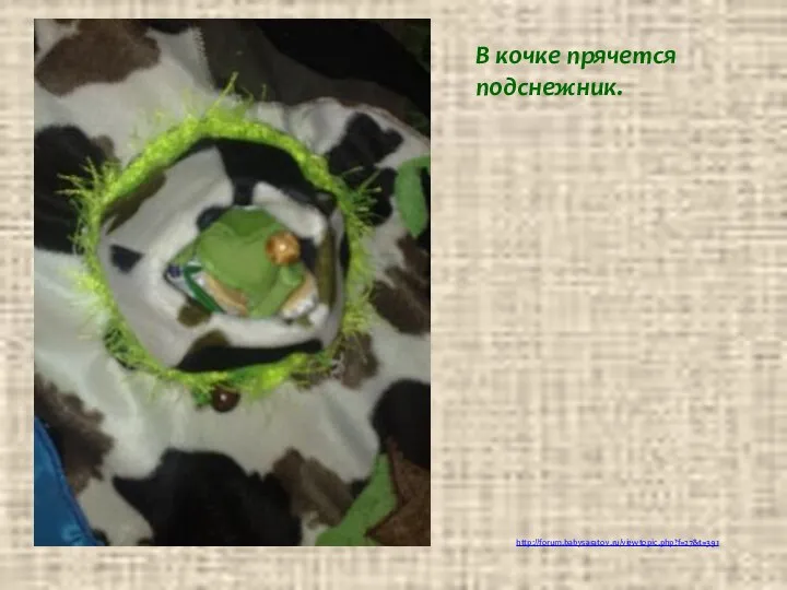 http://forum.babysaratov.ru/viewtopic.php?f=27&t=391 В кочке прячется подснежник.