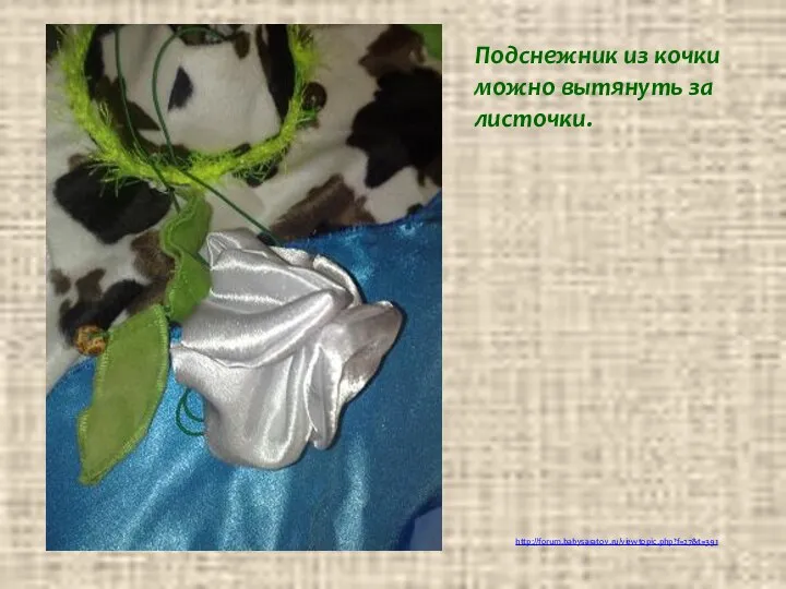 http://forum.babysaratov.ru/viewtopic.php?f=27&t=391 Подснежник из кочки можно вытянуть за листочки.