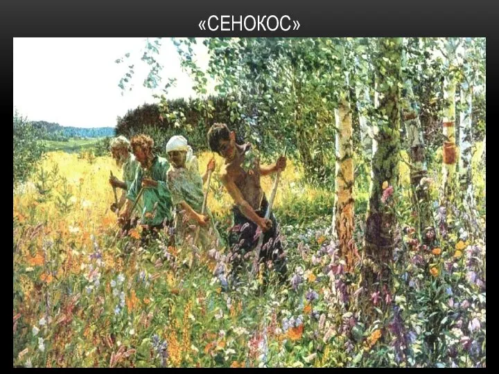 «СЕНОКОС»