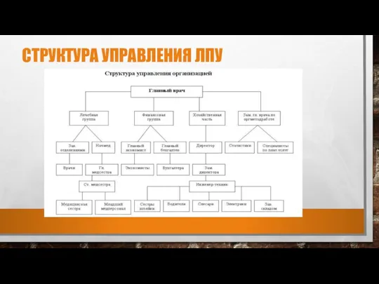 СТРУКТУРА УПРАВЛЕНИЯ ЛПУ