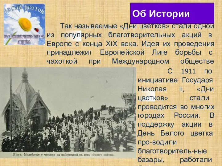 Так называемые «Дни цветков» стали одной из популярных благотворительных акций в Европе