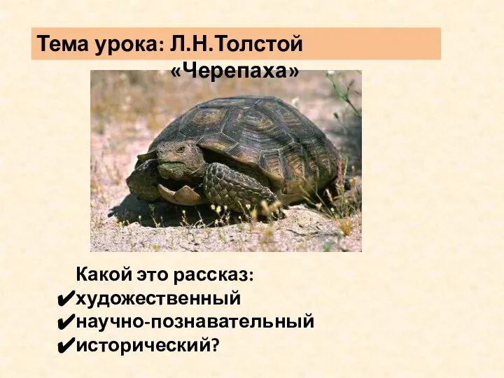 Тема урока: Л.Н.Толстой «Черепаха» Какой это рассказ: художественный научно-познавательный исторический?